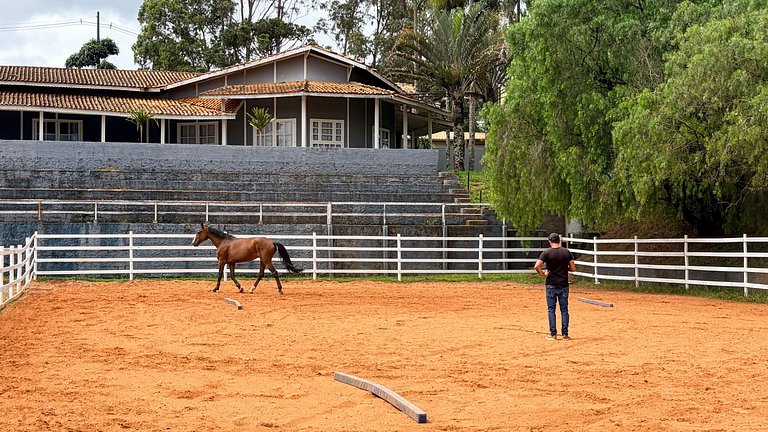 Haras Nashville - Chalé 15 - Cavalos