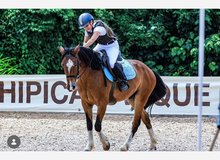Haras Nashville - Chalé 15 - Cavalos