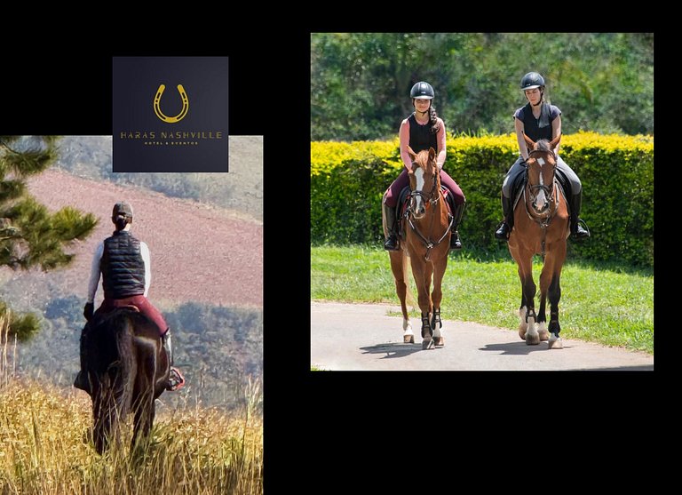 Haras Nashville - Chalé 15 - Cavalos