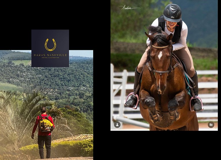 Haras Nashville - Chalé 15 - Cavalos
