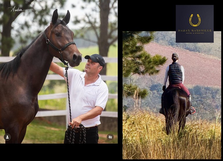 Haras Nashville - Chalé 15