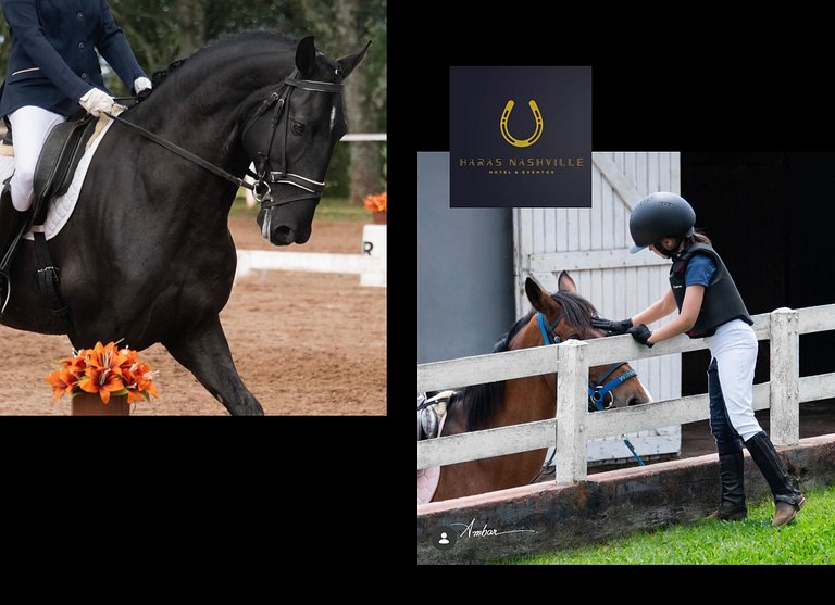 Haras Nashville - Chalé 15