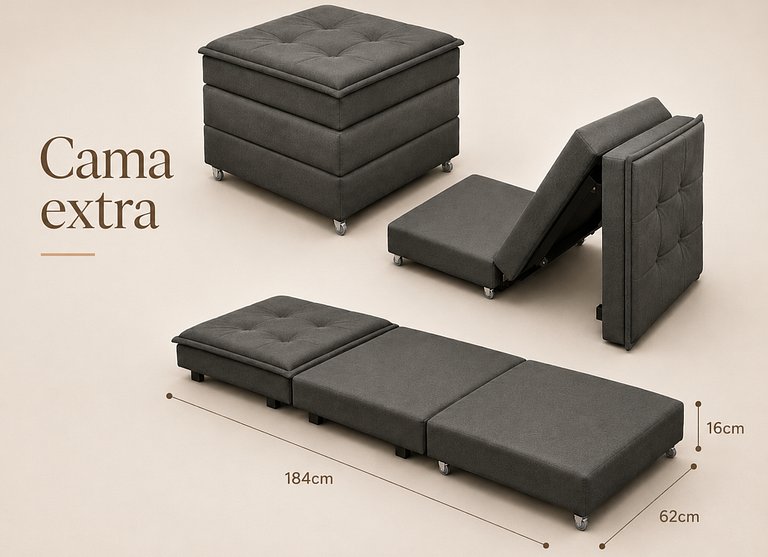 Pauliceia605